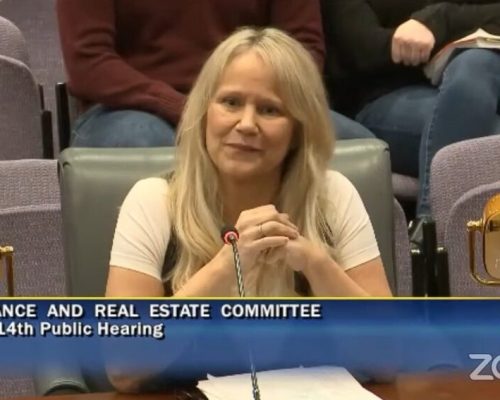 Real-Estate-Commission-testimony-on-Licensing-of-Title-Searchers-1024x567